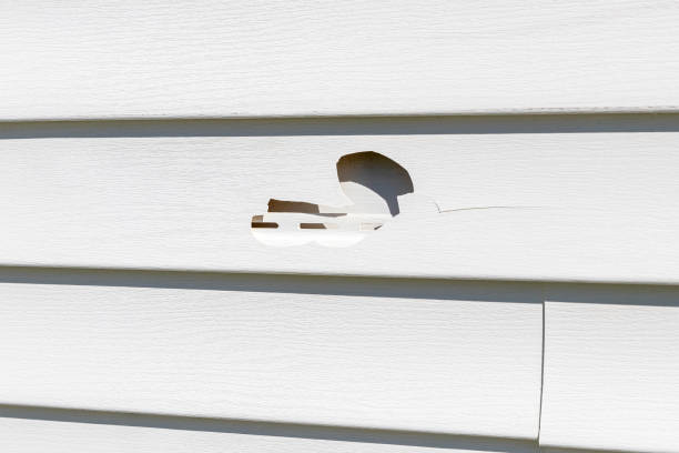 Best Steel Siding Installation  in Mancelona, MI